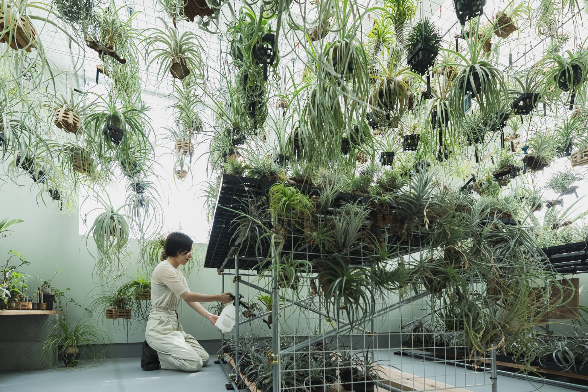 思い描いていた理想が叶ったボタニカルハウス 画像